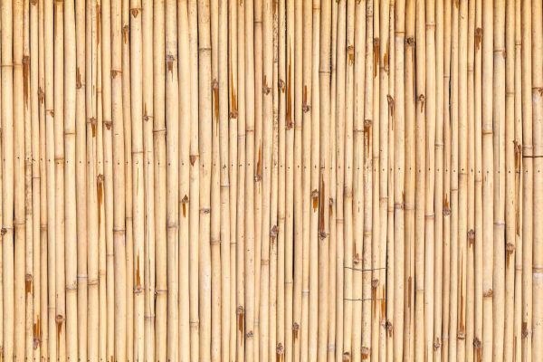 פרגולות במבוק2